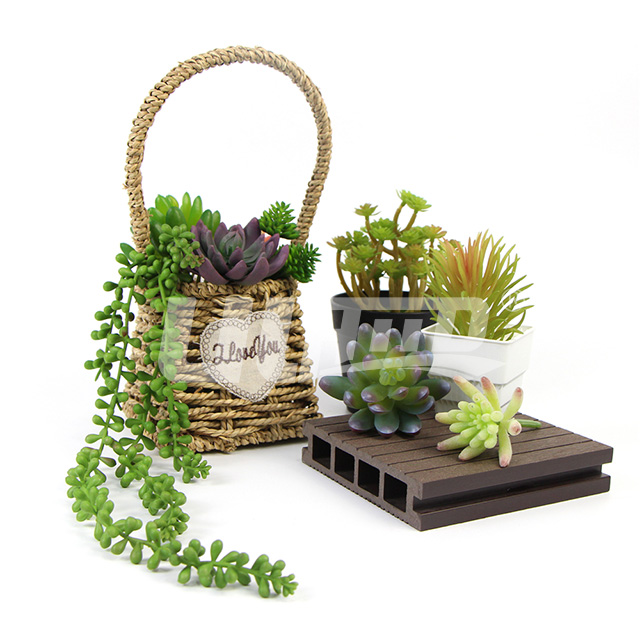 �������ֲ��