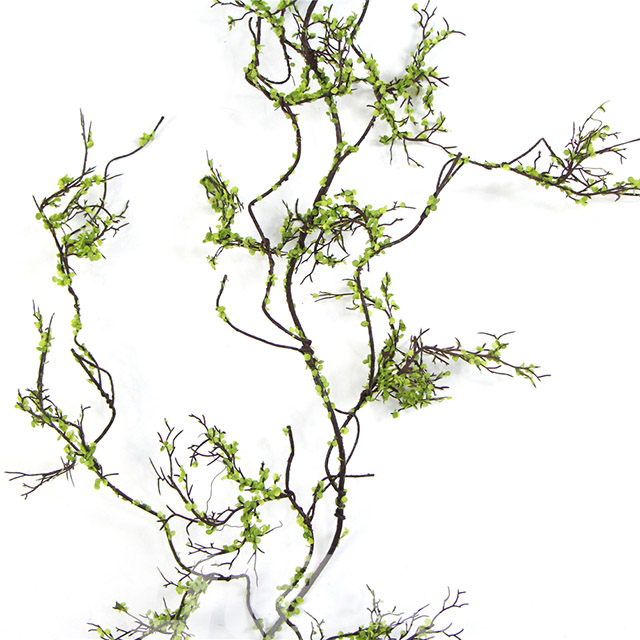 �������~ɺ����