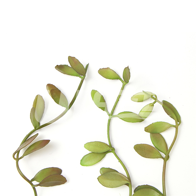 ������⼚���D