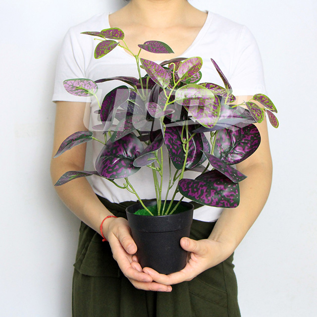 ����С������t�}��ɫ