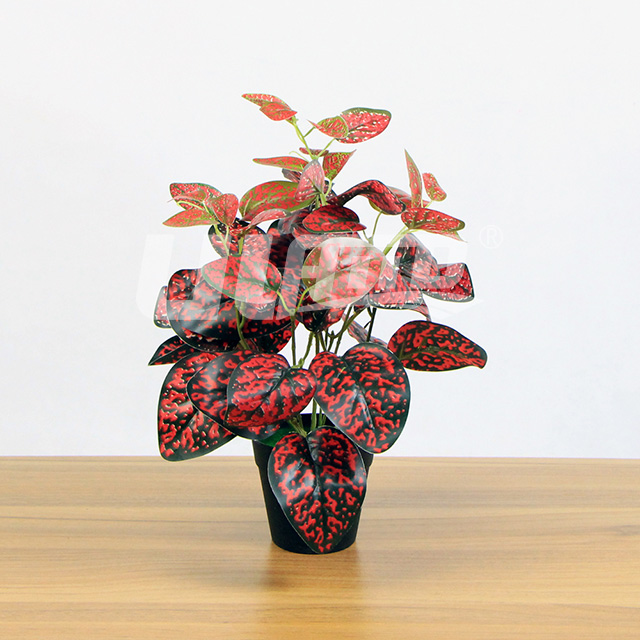 ����ֲ��С������t�}�tɫ