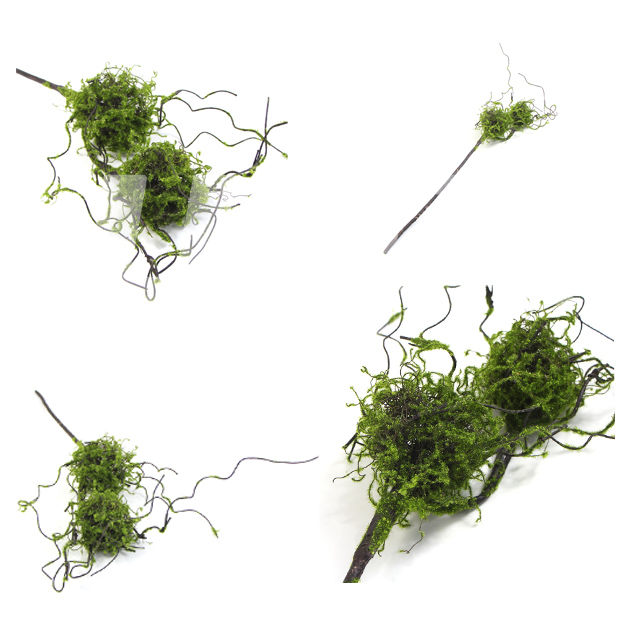 �p�^̦�\�B��