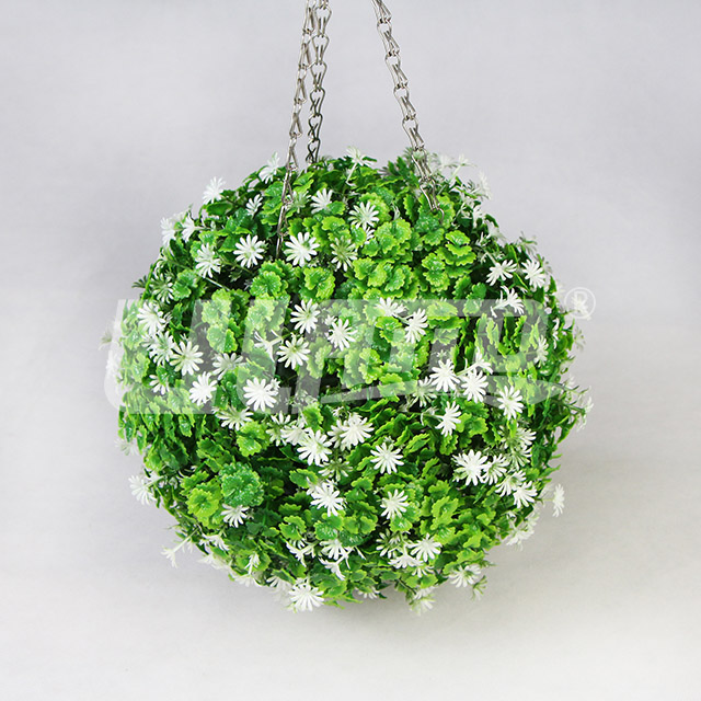 ��ֲ����C30�ɑҒ�