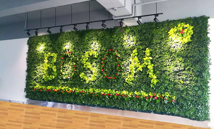 �k���ҷ���ֲ�ﱳ����