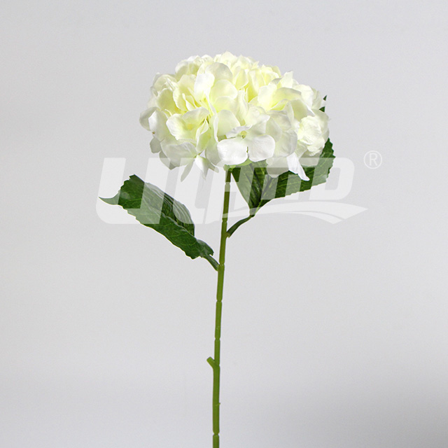 ��ɫ���潁����