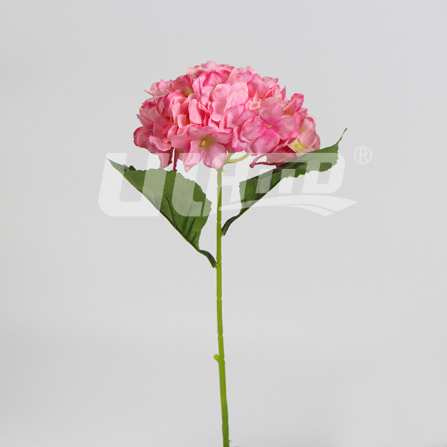 ��ɫ���潁����