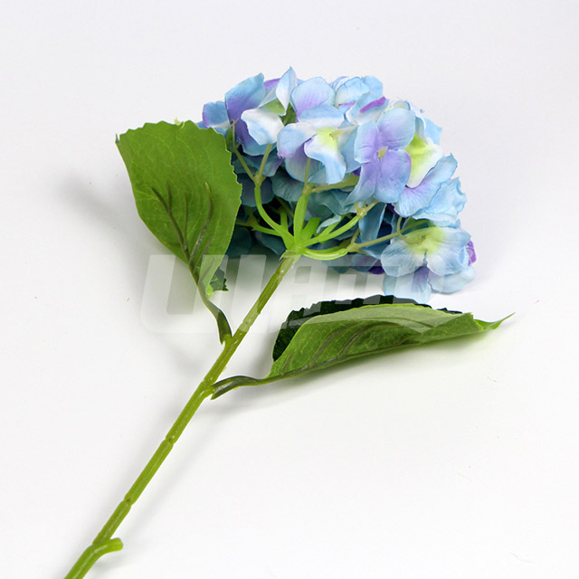 �{ɫ���潁����