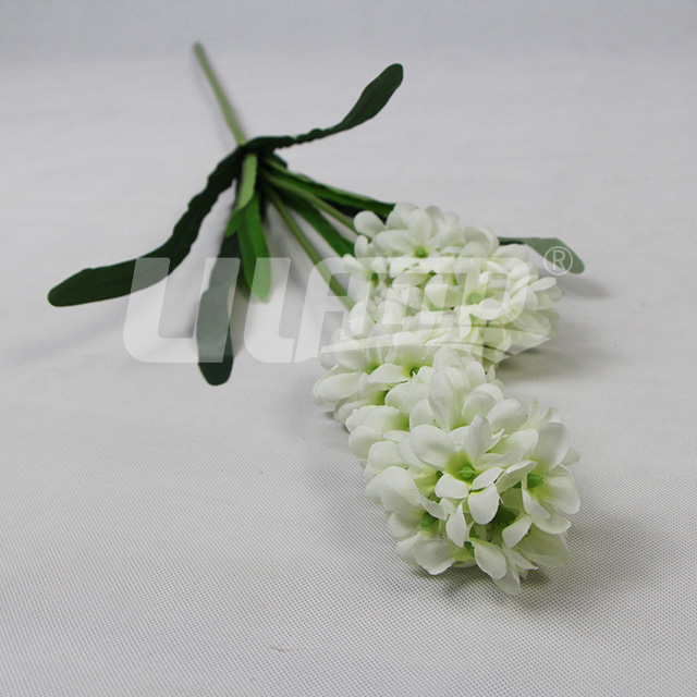 ��ɫ���滨�L����