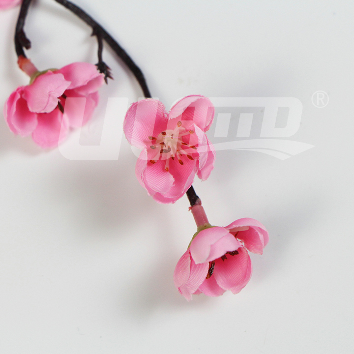 ��ɫ����÷��֦�l