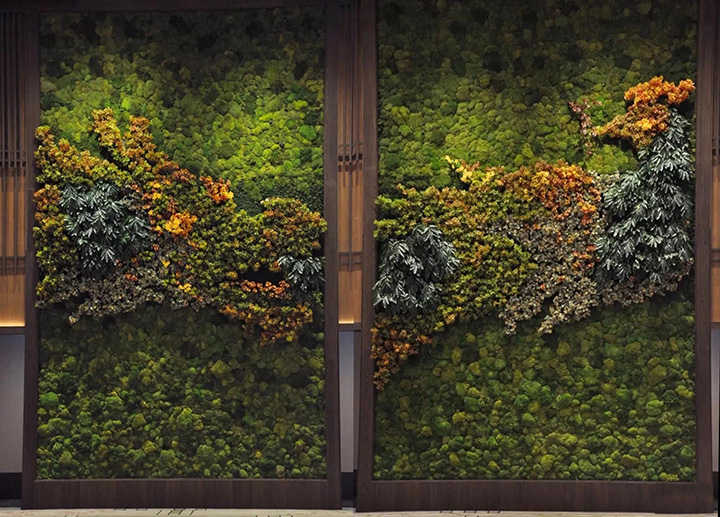 ���w̦�\ֲ�