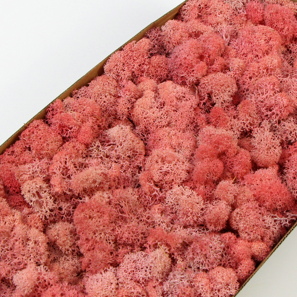 ��ɫ����̦�\