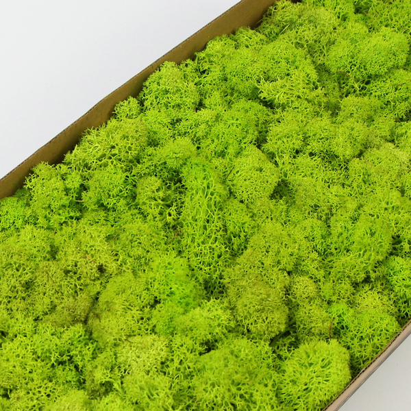 ���Gɫ����̦�\