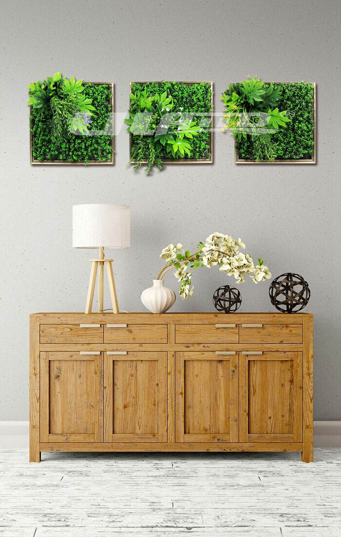 �ڒ�ֲ�֮���ⰻȻϵ��