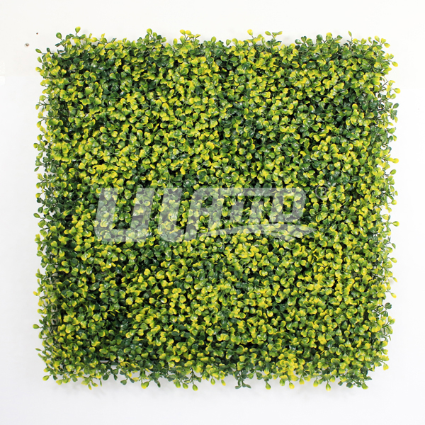 ����ֲ��A001���m�S