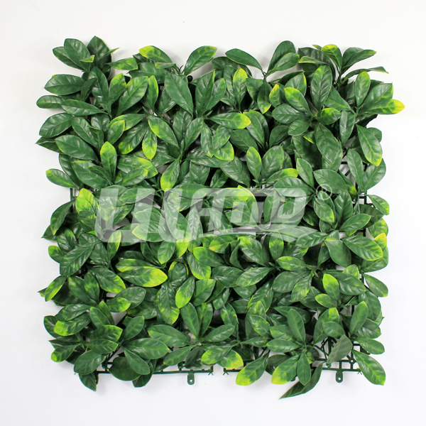 ����ֲ����~