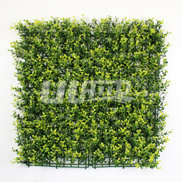 ����ֲ���L�~���m�S