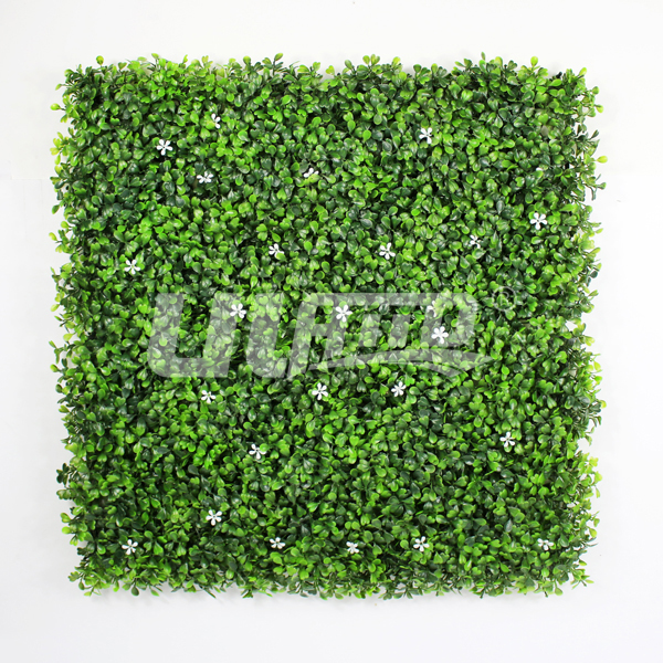 ����ֲ�����m��