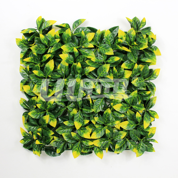 ����ֲ��X���~