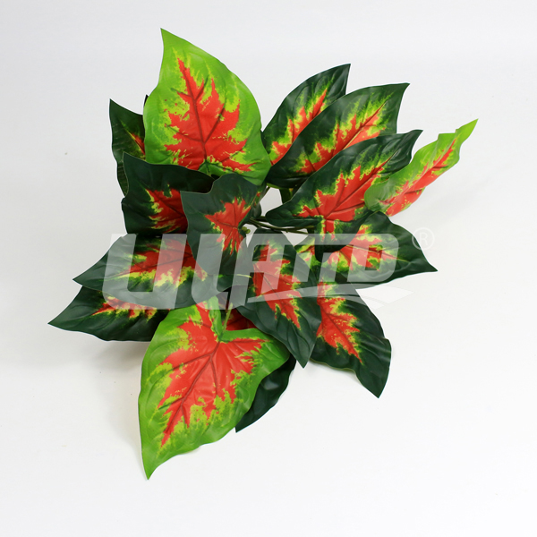 ����ֲ��t���^