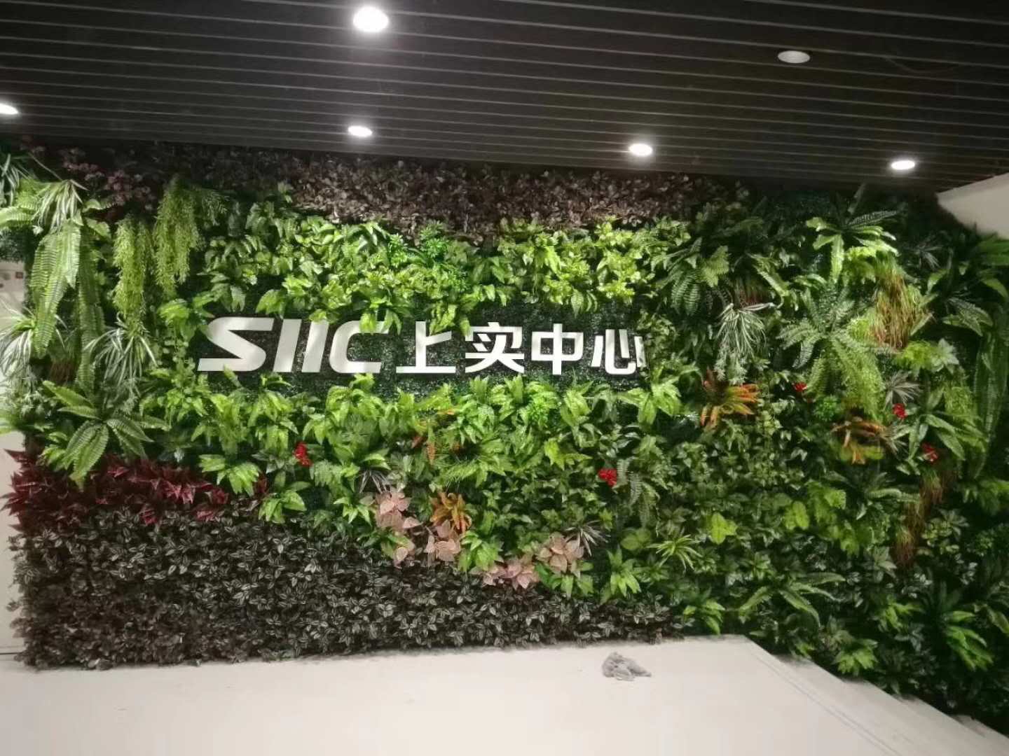 ����ֲ����̰���_�ό�����