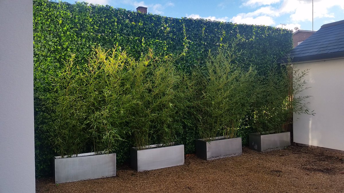 ����ֲ����̰���_˽��ͥԺ3