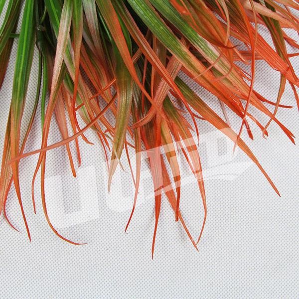 ����ֲ���m��-�tɫ