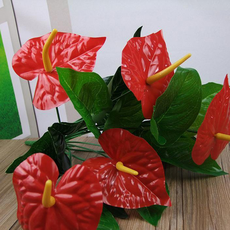 ����ֲ��t��