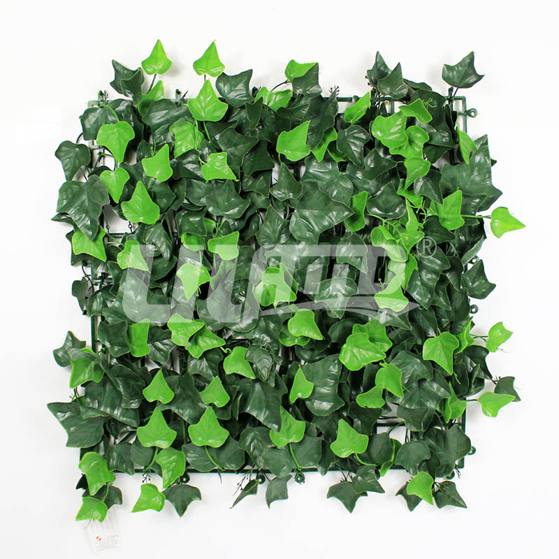 ����ֲ��ع��~