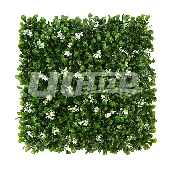 ����ֲ��A109