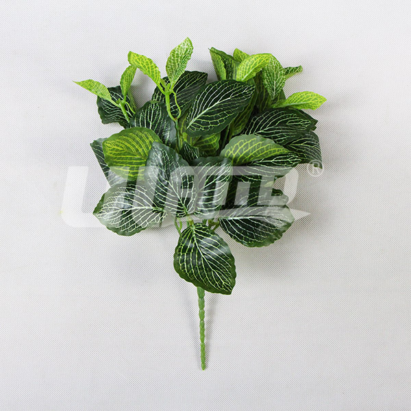 ����ֲ��W�y��