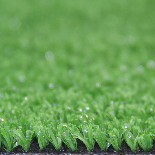 ��ɫ�����ƺ