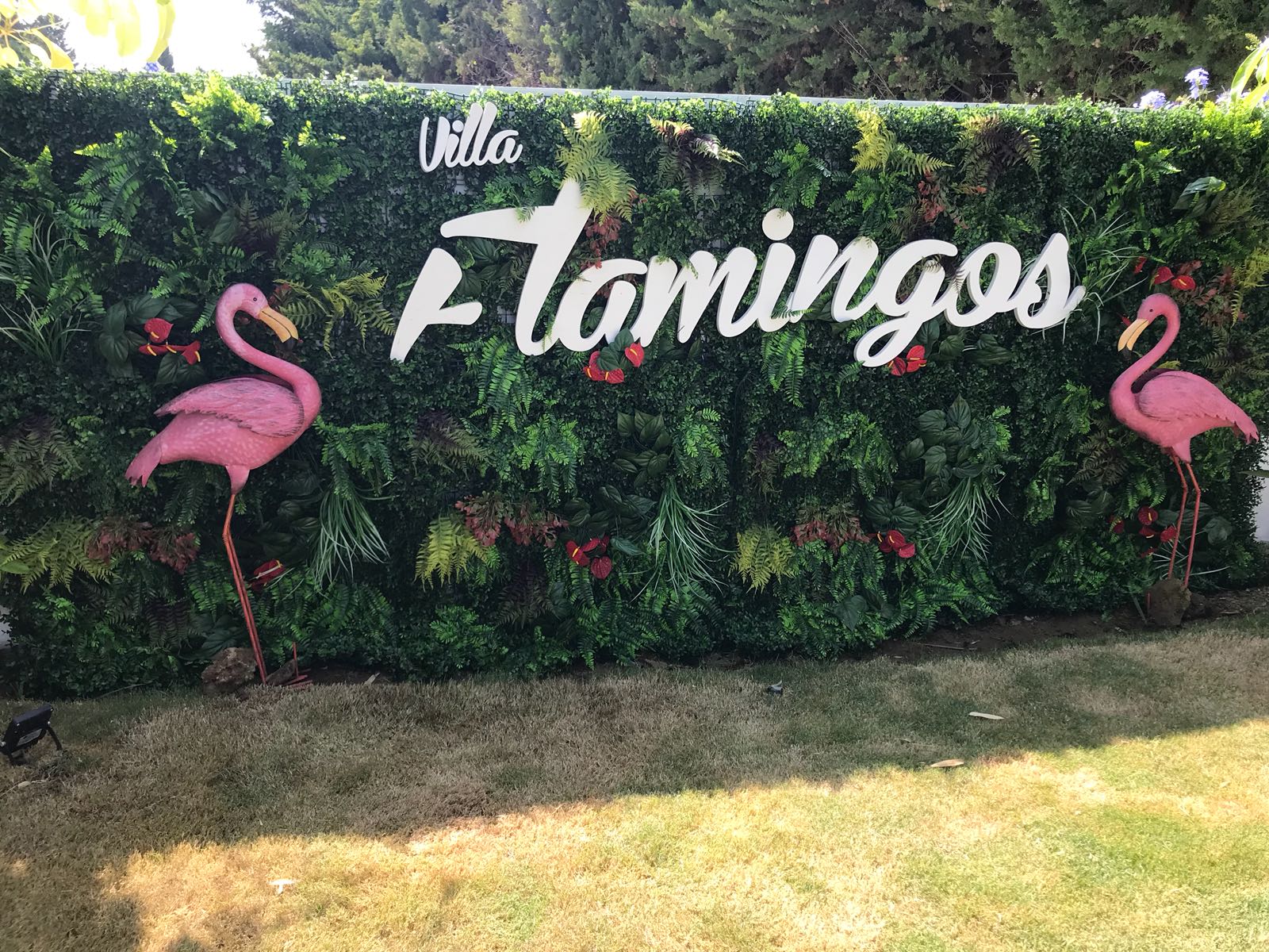 ����ֲ����̰���_���}������flamingos