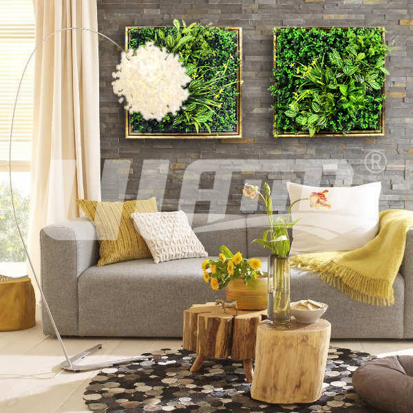 �ڒ�ֲ�֮�M�@��ɫϵ��