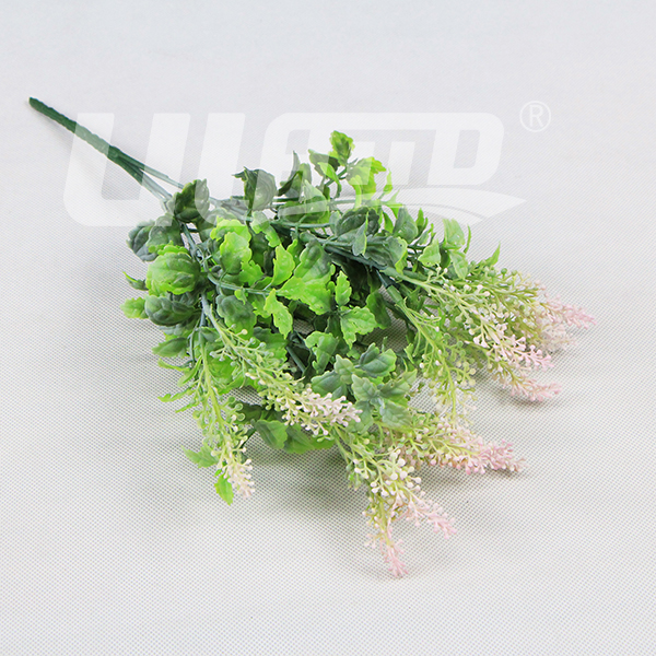 ����ֲ��޹�²�D014