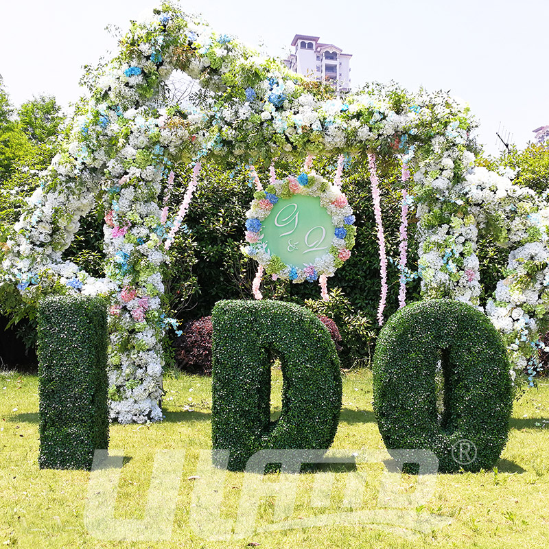 ��ĸ�Π�ķ���ֲ��