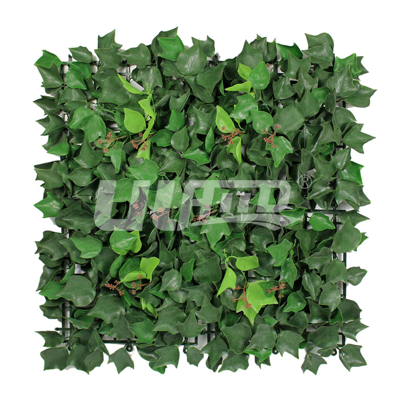 ����ֲ��A005