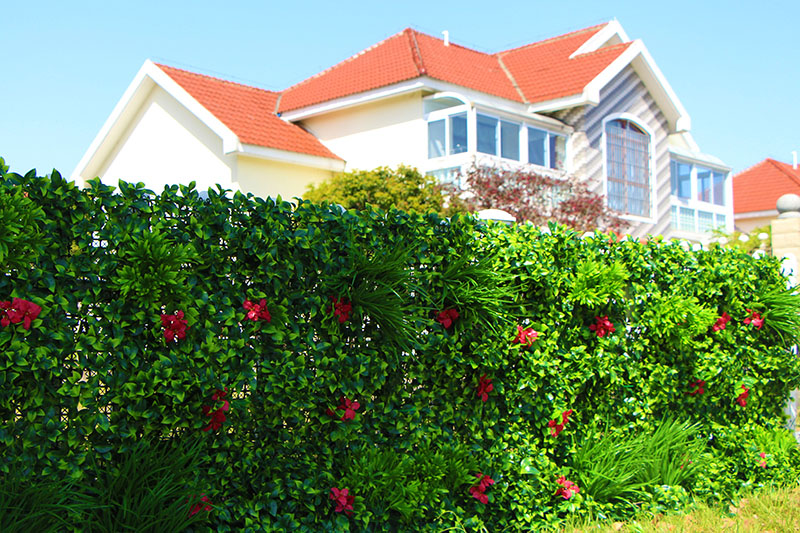 ����ֲ��G���bĄe������