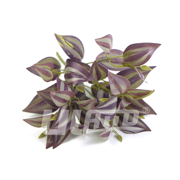 ����ֲ�����÷