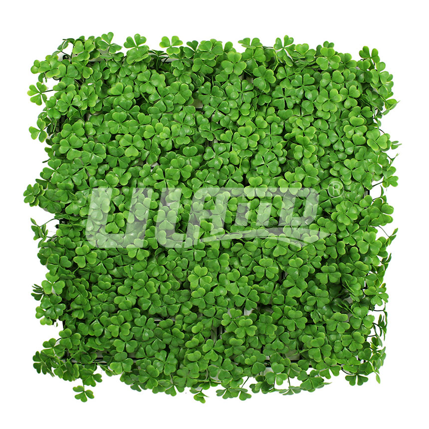 ����ֲ�����\��