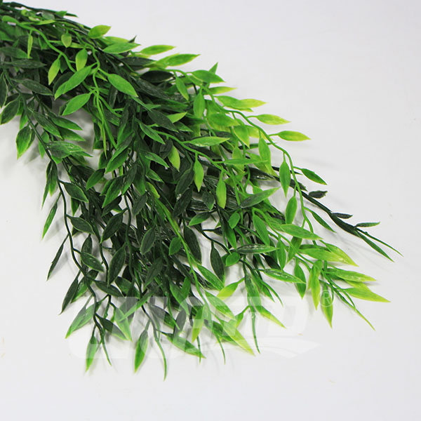 ����ֲ��С����