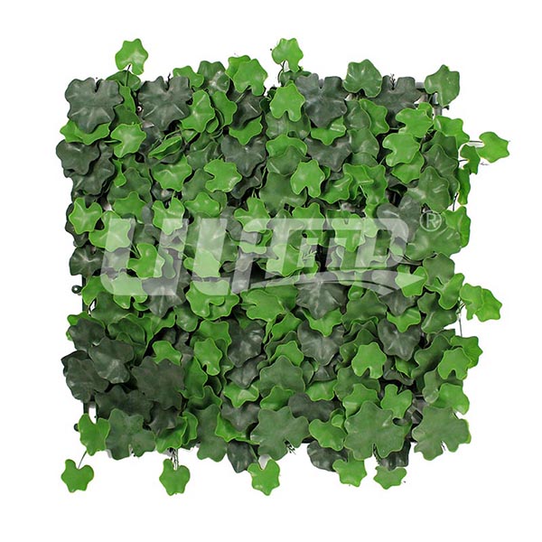 ����ֲ����~����A008