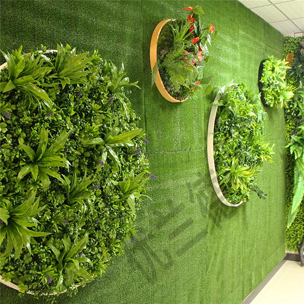 �ڒ�������ֲ��