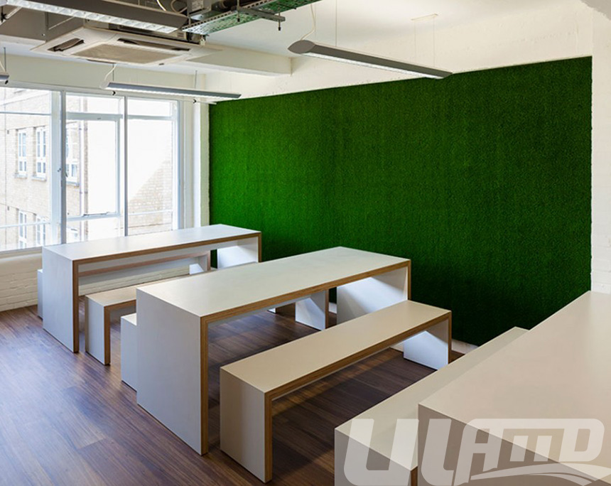 ����ֲ���ƺ