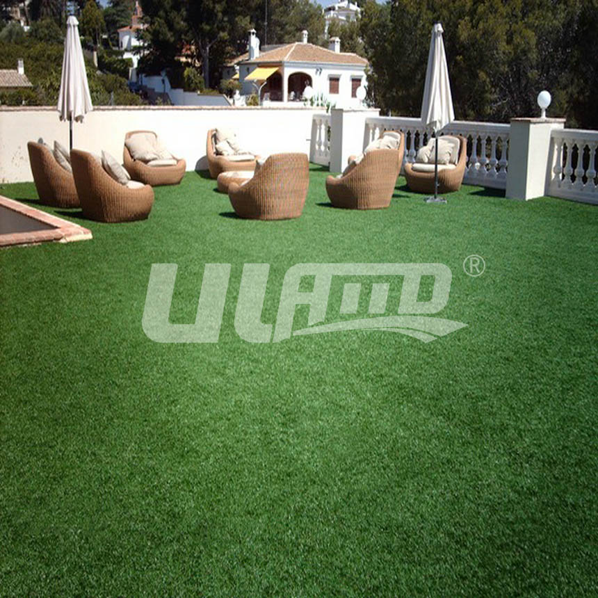 �����ƺ-���e��