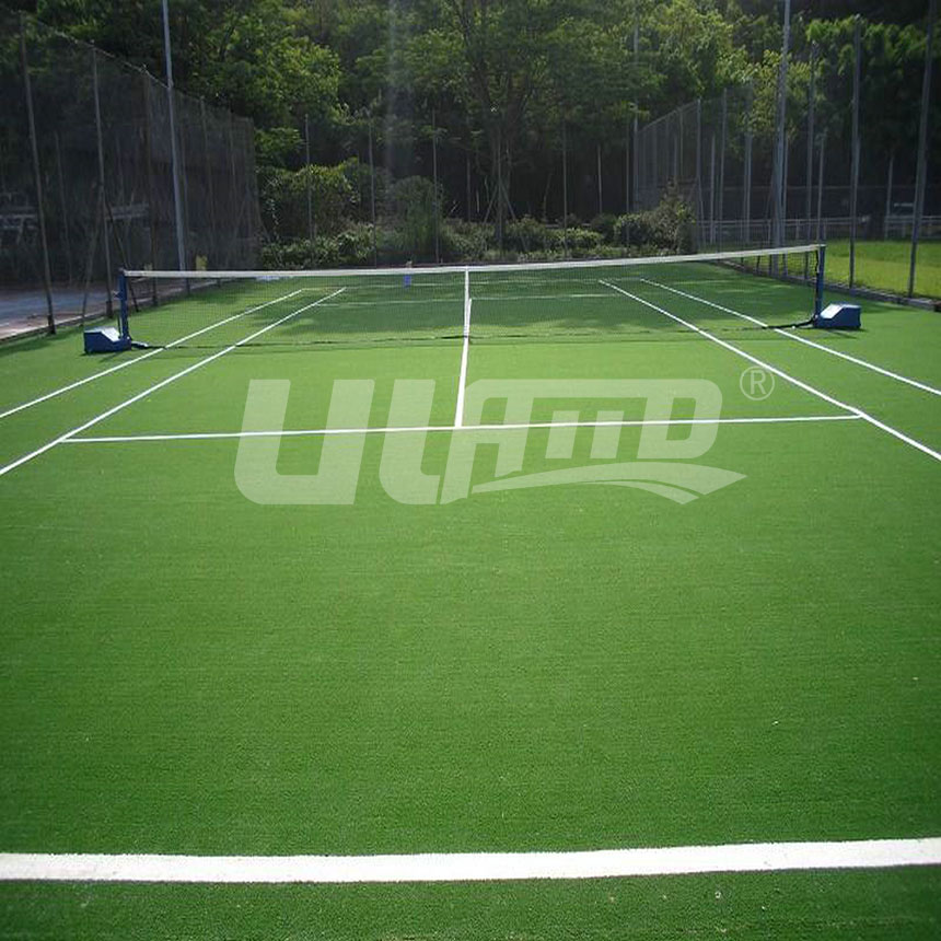 �����ƺ��(y��ng)���\(y��n)��(d��ng)��(ch��ng)��-�W(w��ng)���(ch��ng)