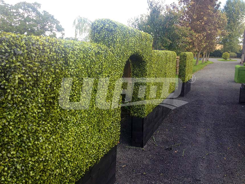 ����ֲ�����L