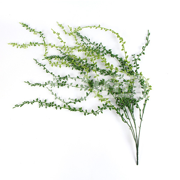 �������ֲ��BG043