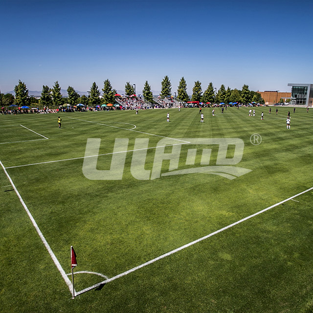 �\�ӈ������ƺ