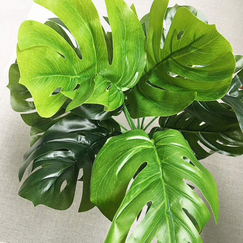 �^�z����ֲ�������~