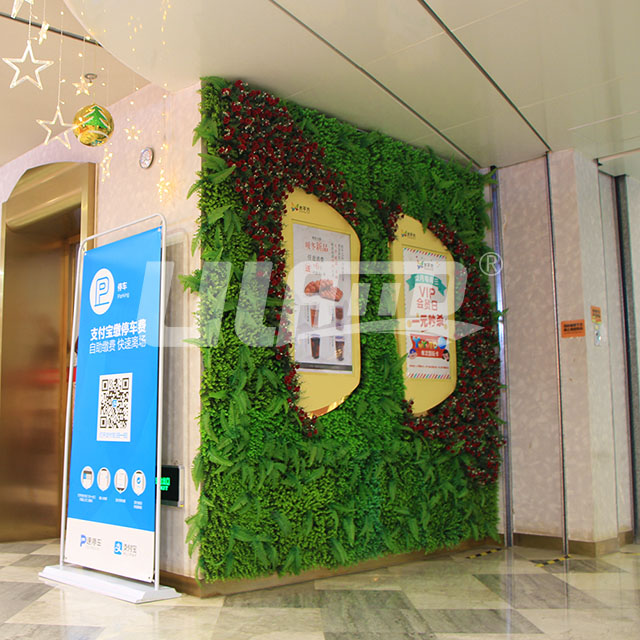 ���w�����ƺ